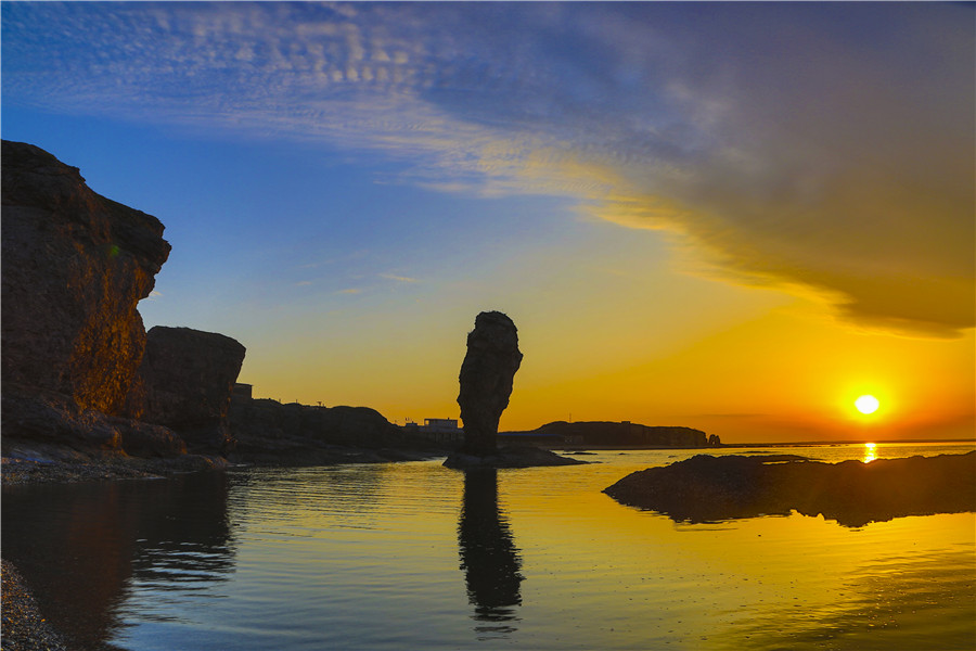 Sea turns fluorescent in Dalian, Northeast China