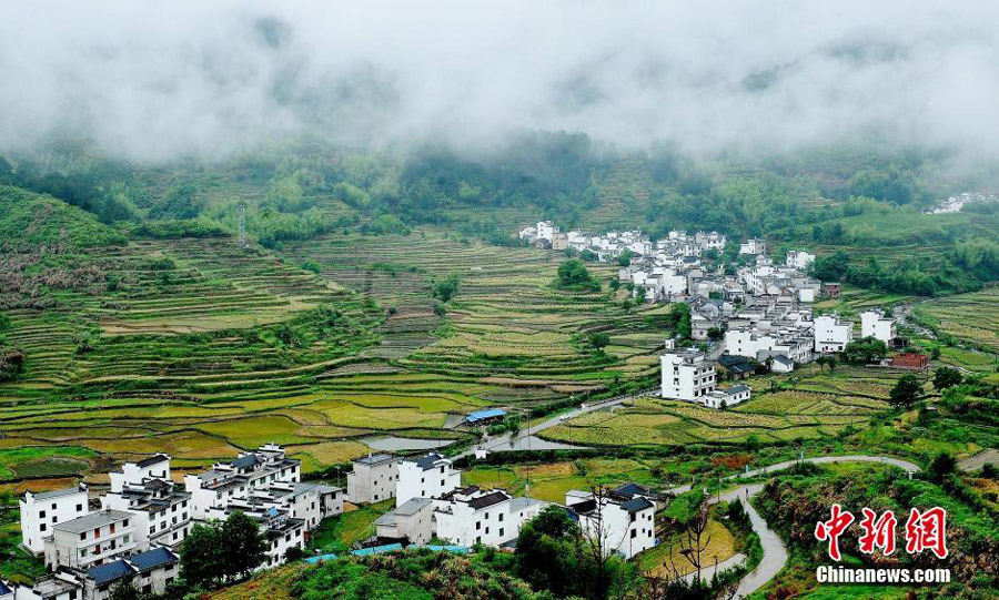 Most beautiful village in misty rain