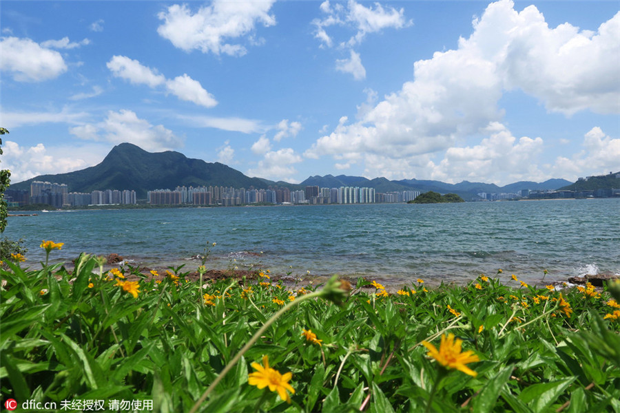 Ma Shi Chau: Beautiful geological park in HK