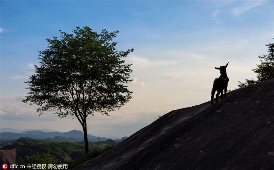 Danxia landform: A forgotten heaven