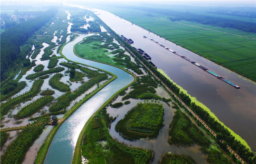 Shandong wetlands: The perfect summer destination