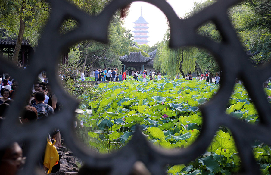 Lotus flower brightens Zhuozheng garden in Suzhou