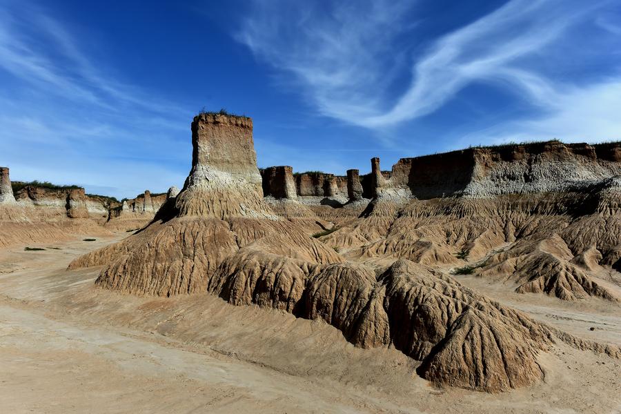 Soil forest in Datong county, N China's Shanxi