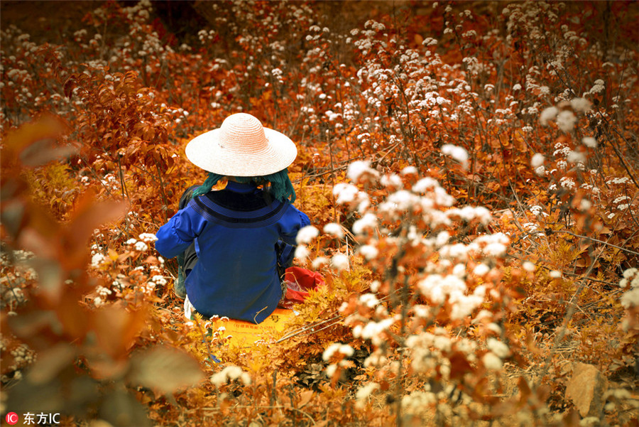 Colorful Yunnan through the lens of Italian photographer