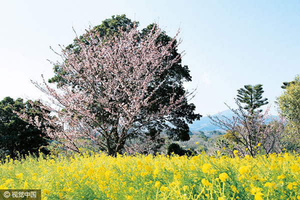 New agreement signed to lure more Chinese tourists to Japan