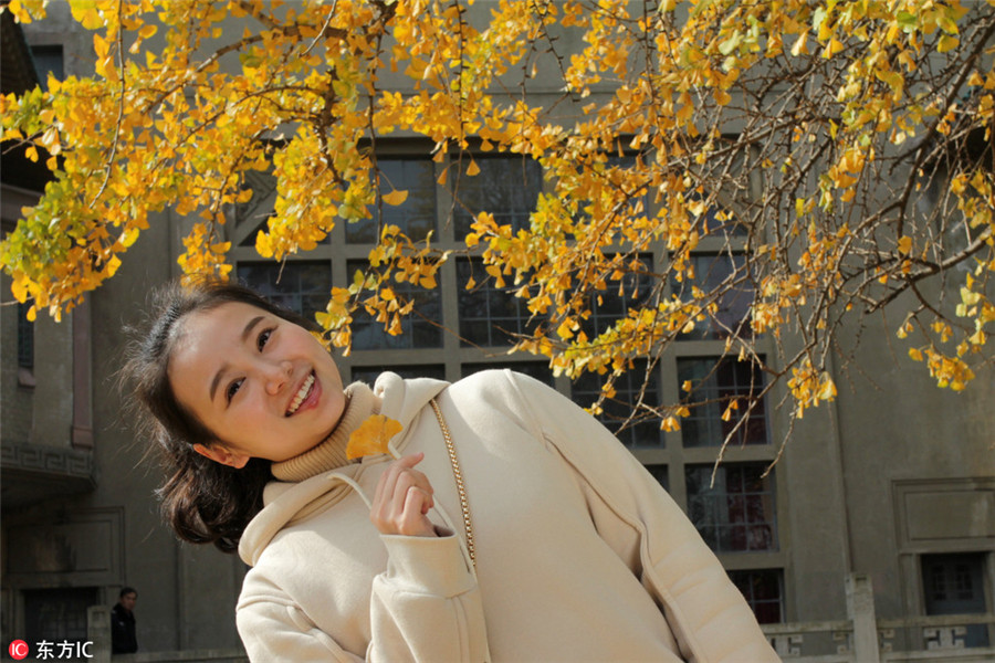 Golden ginkgo leaves lighten up Wuhan University