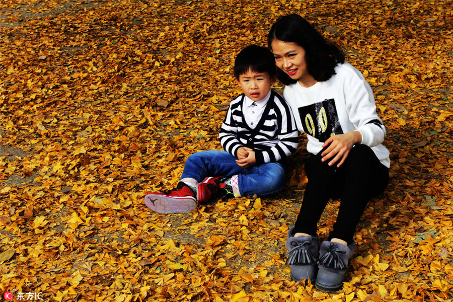 Golden ginkgo leaves lighten up Wuhan University