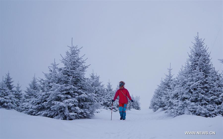 Rime scenery of Xianfeng Forest Park in Northeast China