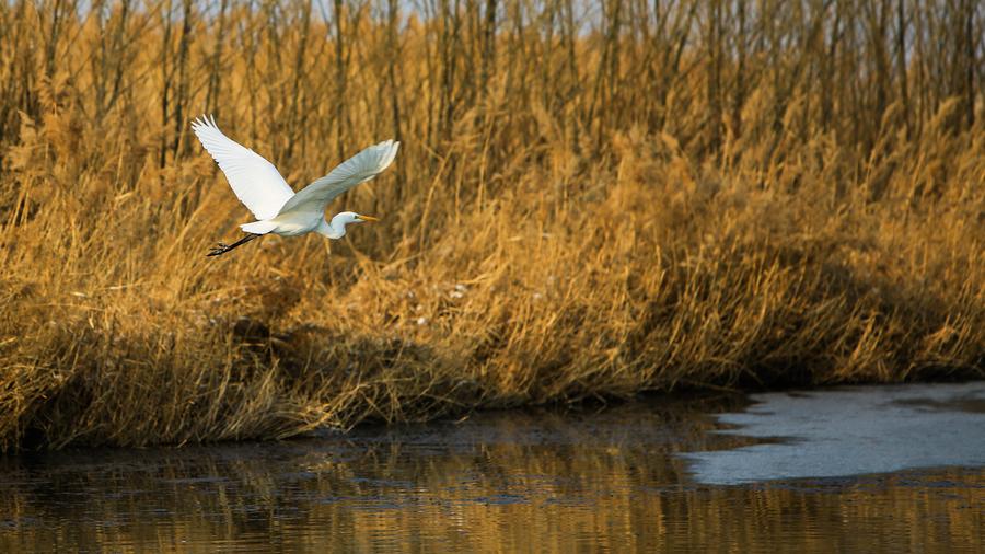 Inside Zhangye National Wetland Park in Northwest China