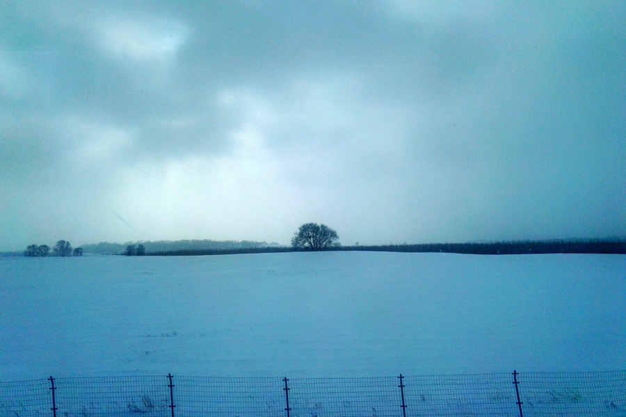 Breathtaking scenery of Bashang Grassland in winter