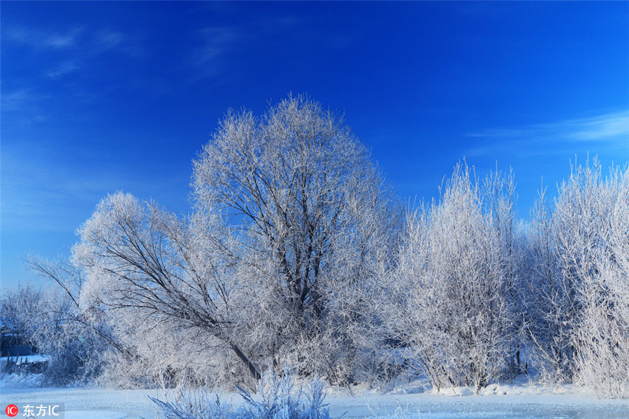 Snow and ice turn Greater Hinggan Mountains a magical world