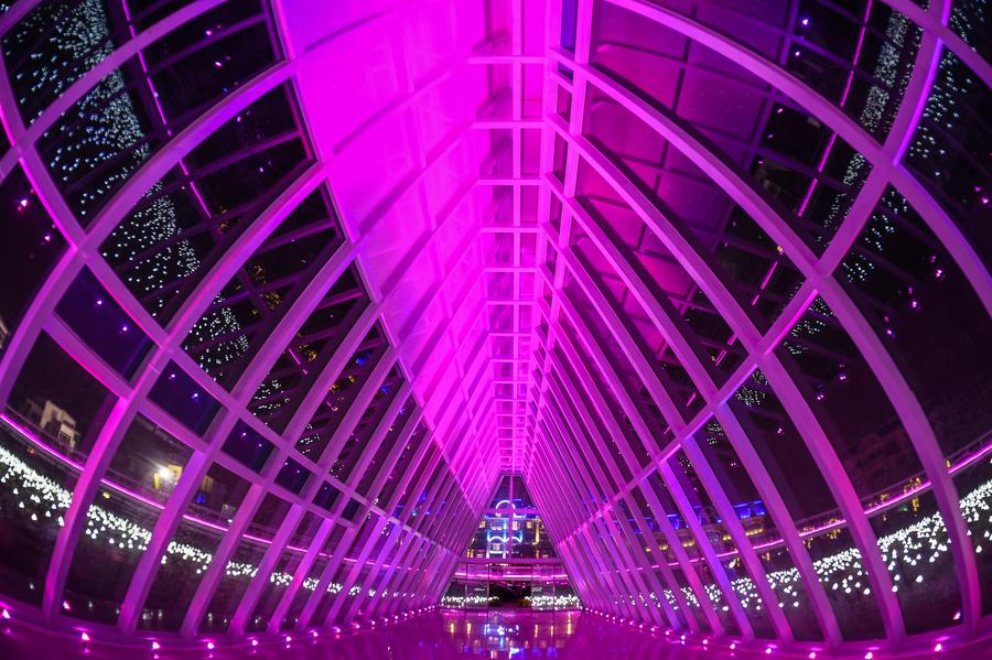 Rose lights illuminate sunflower park in Guangzhou