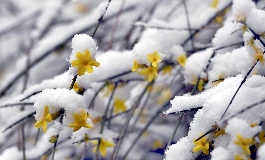 People enjoy snow scenery of ancient city Xi'an