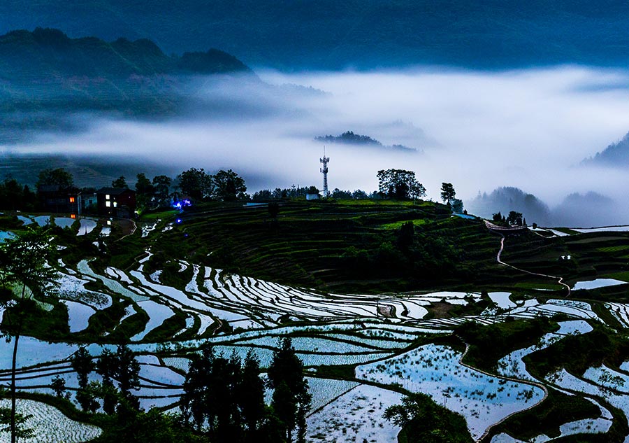 Youyang terraces in Chongqing capture beauty of nature