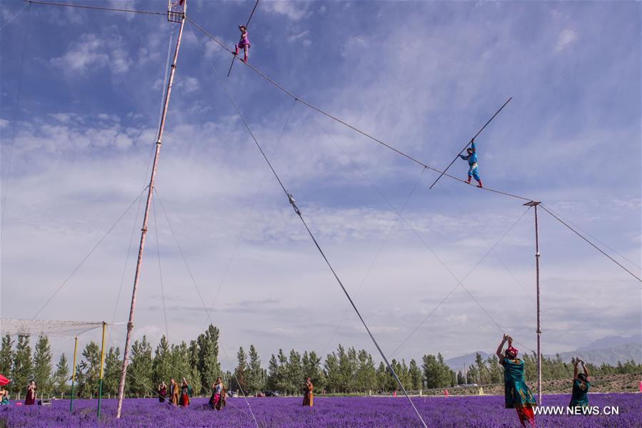 7th int'l lavender tourism festival starts in N.W. China