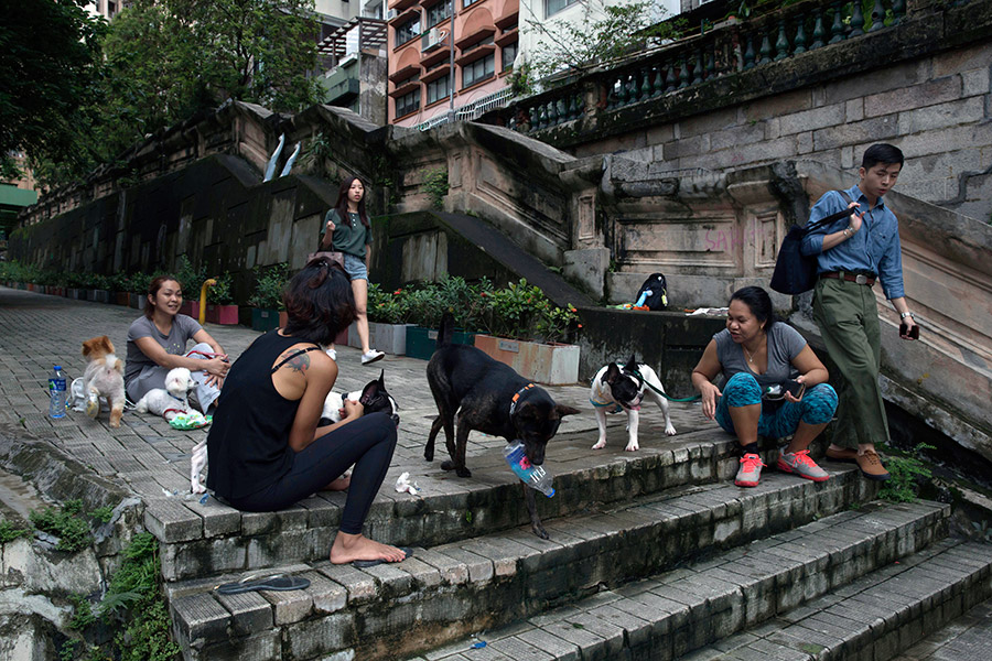 A peek at the peak in Hong Kong