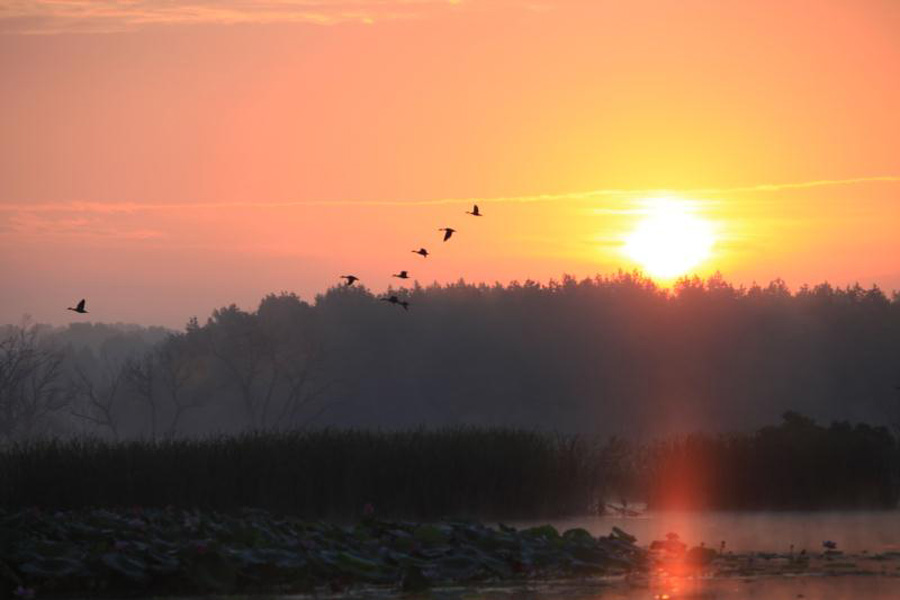 Jingyuetan, a paradise for wildlife