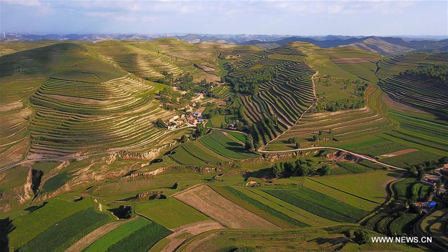 Scenery of terraces in NW China's Ningxia