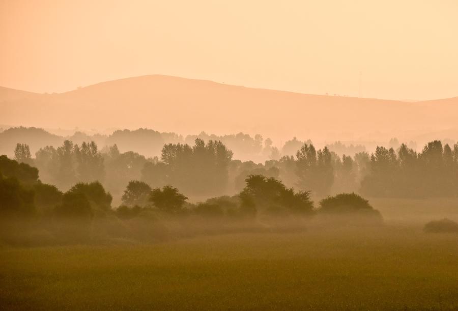 Early autumn scenery by Hunhe riverside in Inner Mongolia