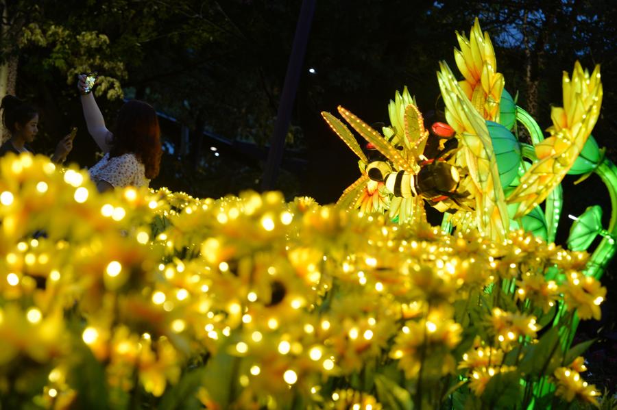 Mid-Autumn festival lights shine at Singapore's Gardens by the Bay