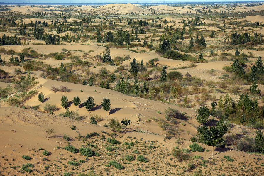 Transformation of Kubuqi Desert: From barren sand dunes to enchanting paradise