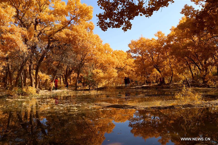 Stunning snapshots from autumn scenery across China