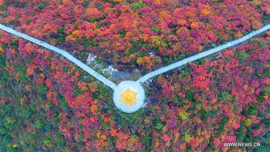 Stunning snapshots from autumn scenery across China