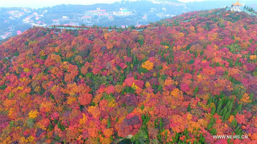 Stunning snapshots from autumn scenery across China