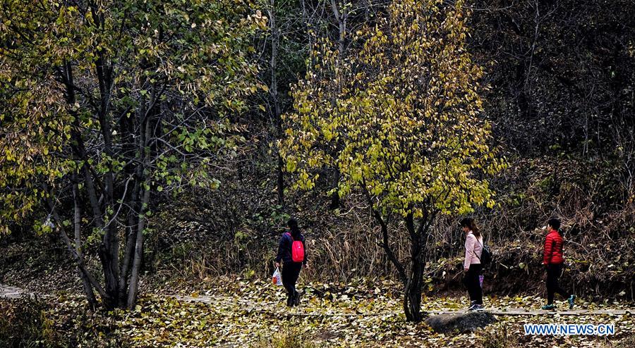 Autumn scenery of Yudu Mountain in Beijing