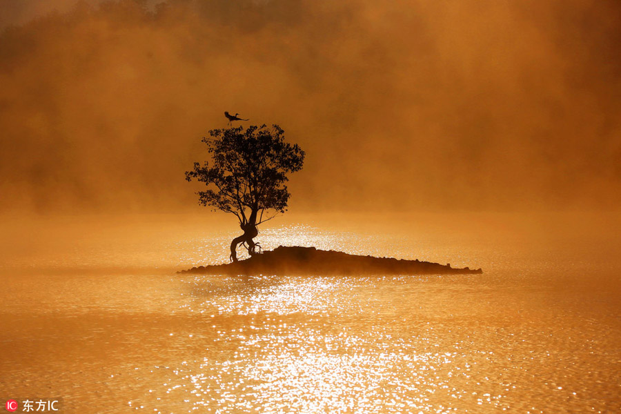 Morning mist reveals beauty of Huangshan Mountain