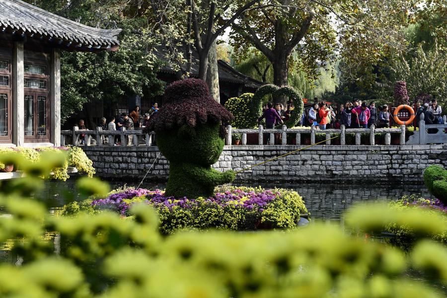 Blooming chrysanthemum displayed in E China's Baotu Spring Park