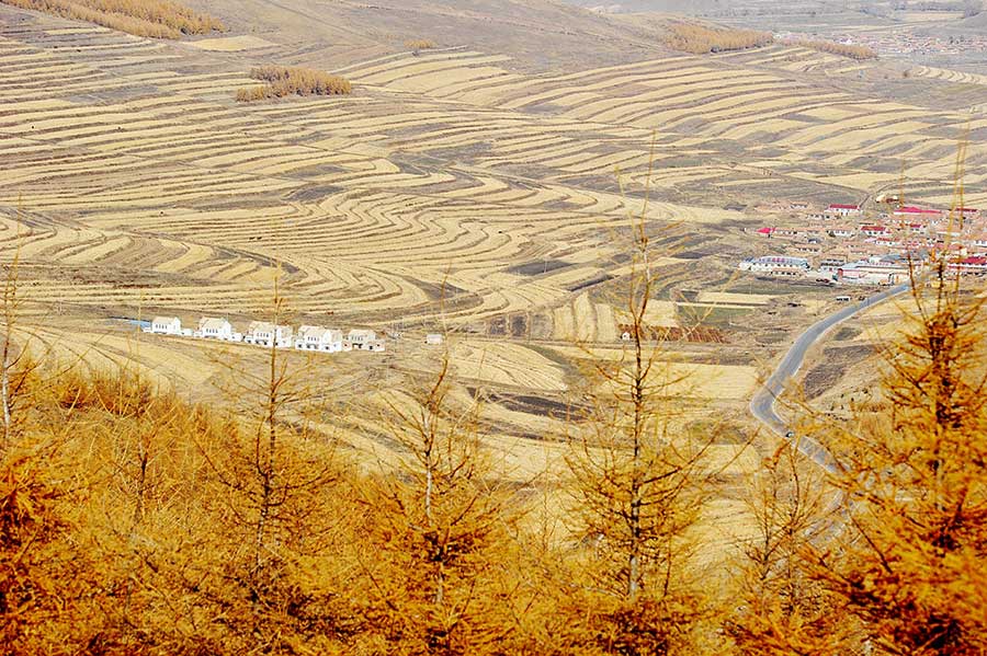 Autumn wonders around China: Photos that grasp the best moments of the season