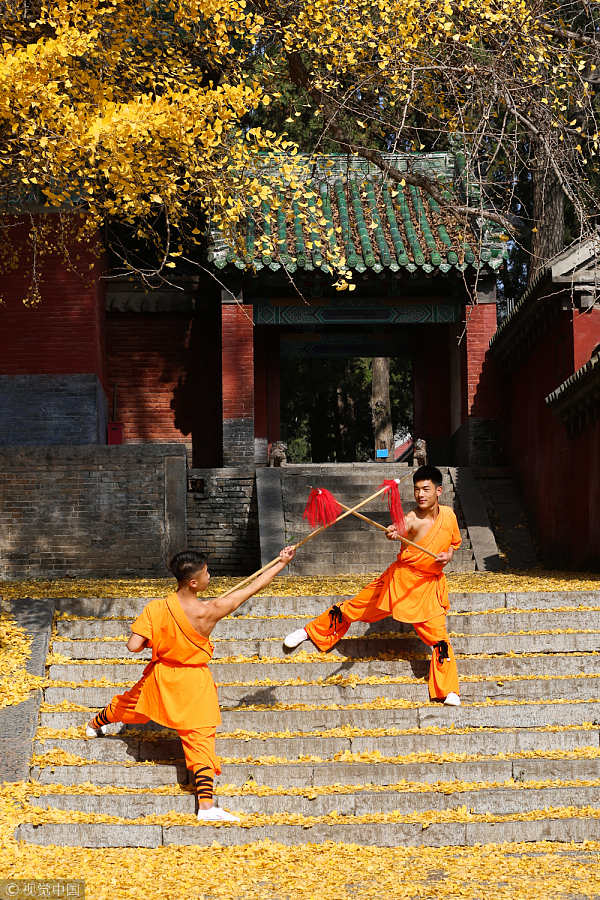 Monks show kung fu stunts under Shaolin Temple tree