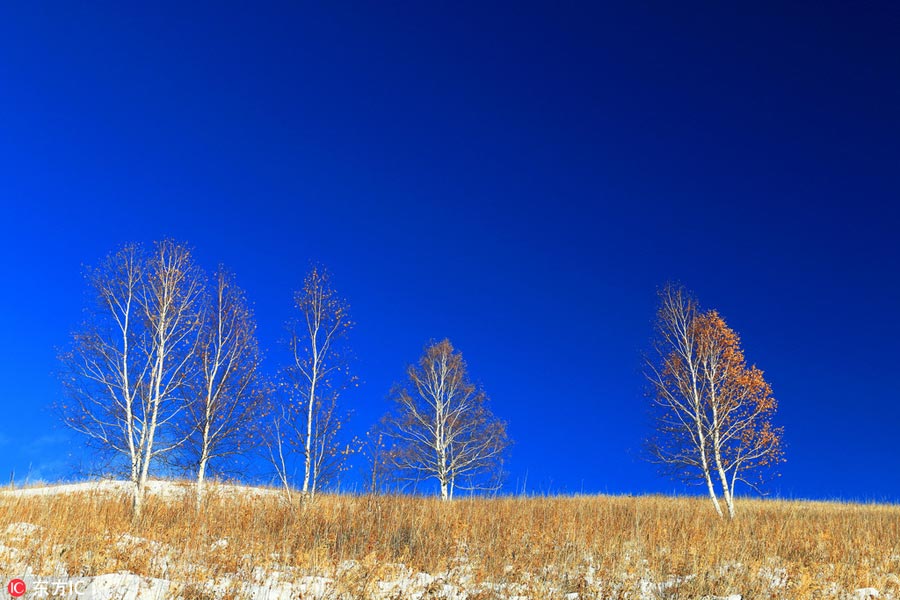 Winter scenery of Greater Khingan Range