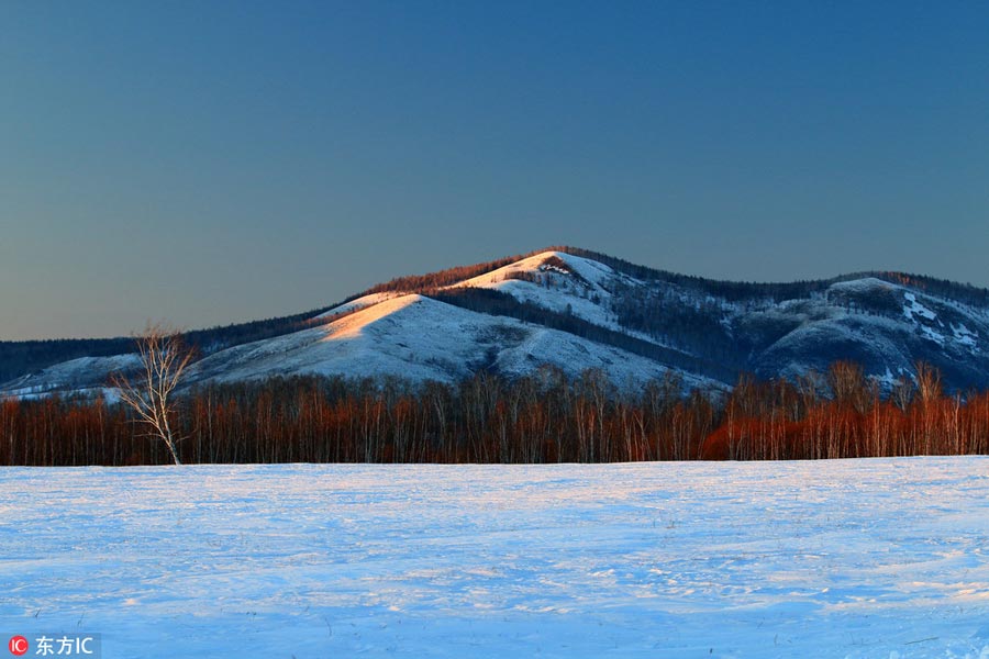 Winter scenery of Greater Khingan Range