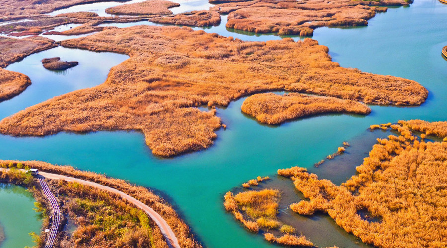 Picturesque Zhangye National Wetland Park