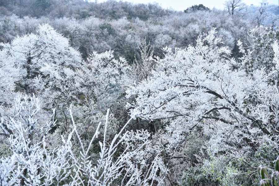 Rime turns Tianmen Mountain into winter wonderland