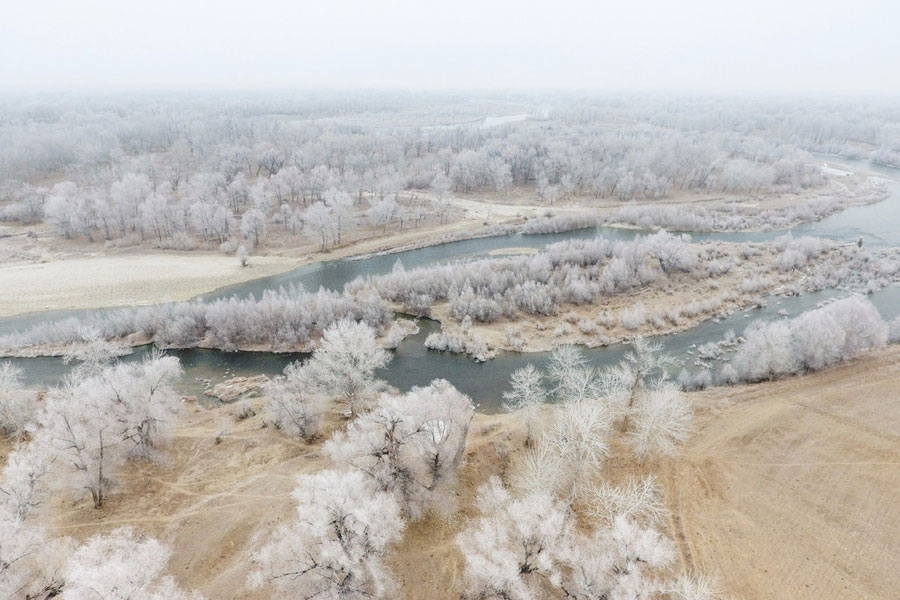 Aerial view of rime-covered trees in NW China