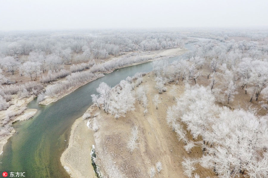 Aerial view of rime-covered trees in NW China