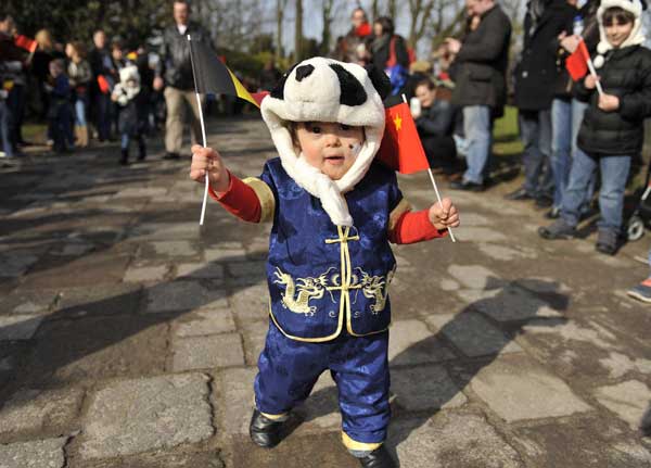 Pandas receive rockstar reception in Belgium