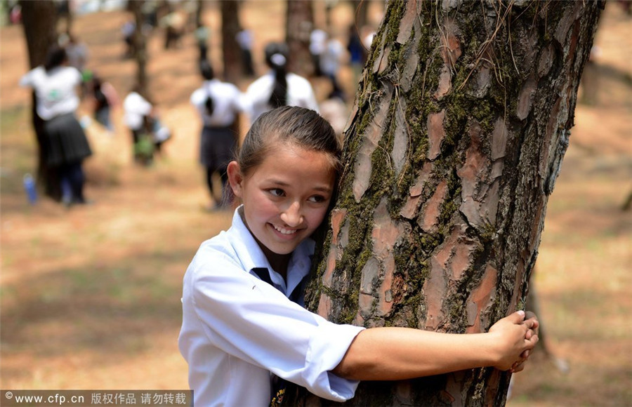 Nepalese students hug trees in world record bid