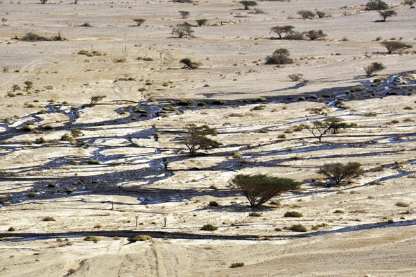 Oil spill in Israel, one of 'worst' environmental disasters