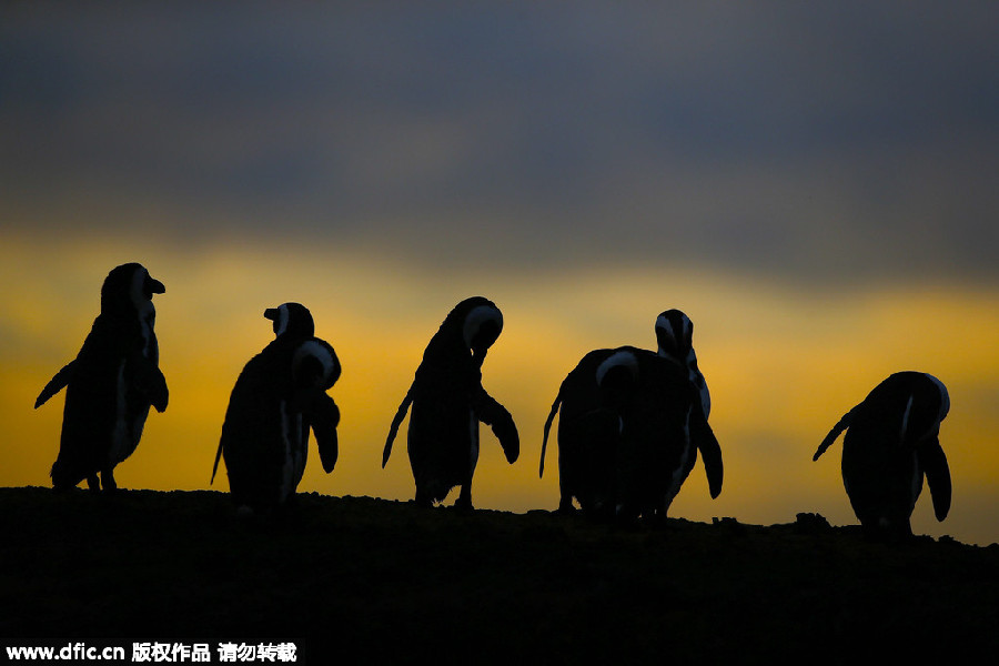 The world in photos: Aug 24 - 31