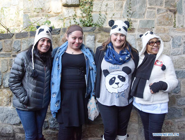 Public takes the first glimpse at giant panda cub, Bei Bei