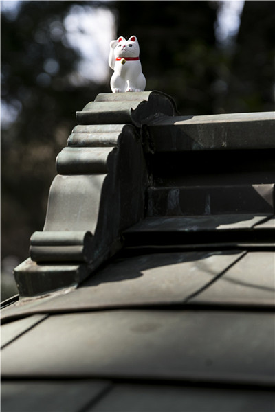 Thousands of beckoning cat on display in Japan's Goutoku Temple