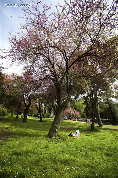 Spring scenery attracts tourists in Rome