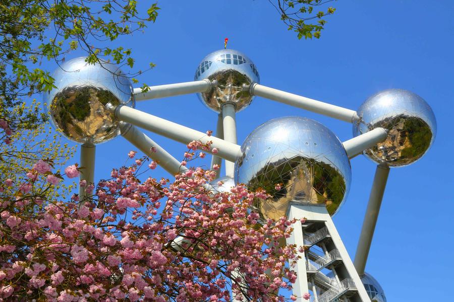 Flowers in full bloom in Brussels, Belgium