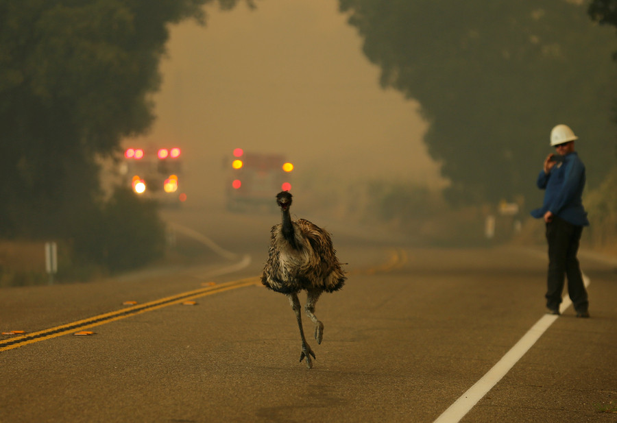 World's biggest natural disasters in 2016