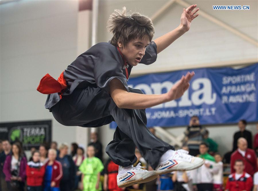 3rd Lithuanian Open Wushu Championship held in Vilnius