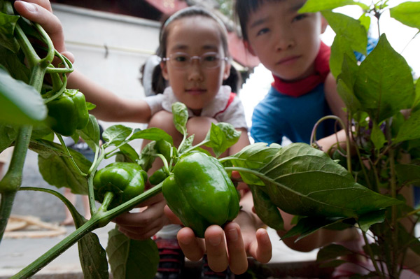 China, UK in partnership on space education